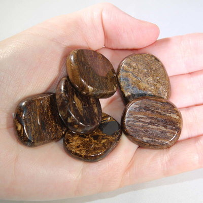 Bronzite Mini Medallion