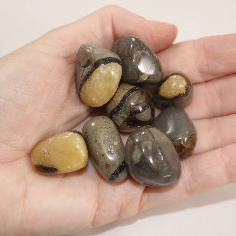 Septarian Polished