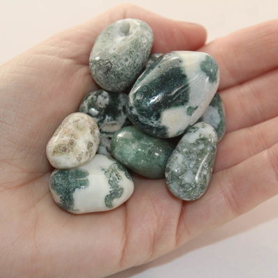Tree Agate Polished