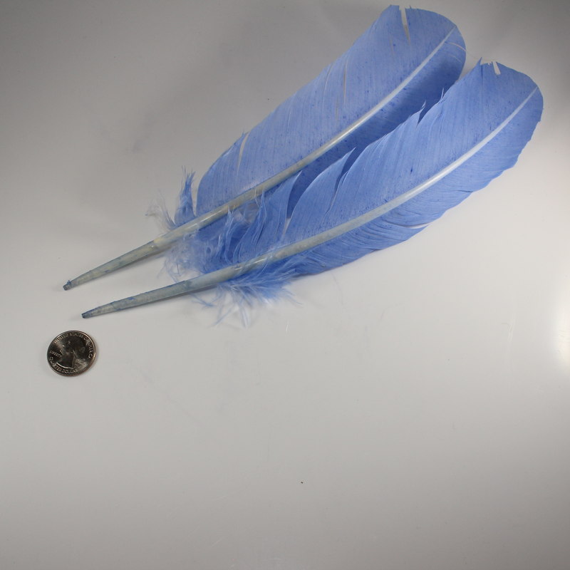 Light Blue Turkey Feather (dyed)