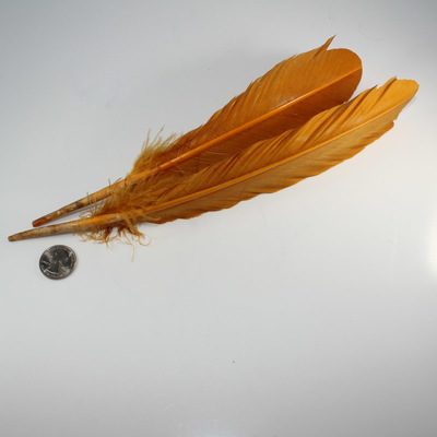 Orange/Gold Turkey Feather (dyed)