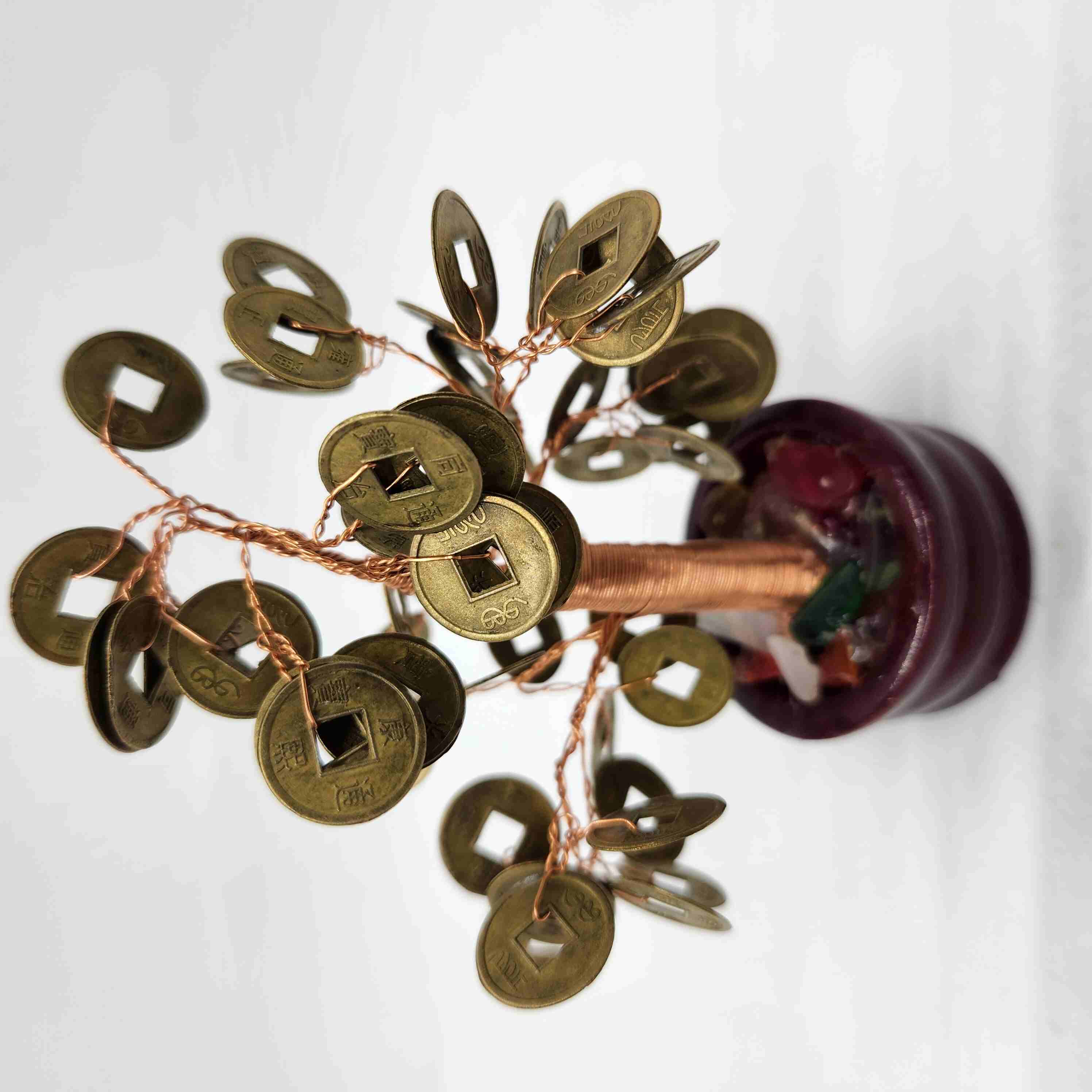 Coin - Money Tree