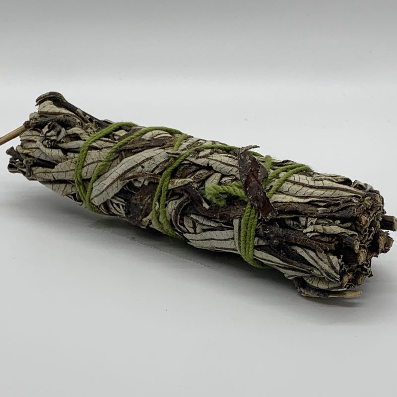 Yerba Santa Sage 4"